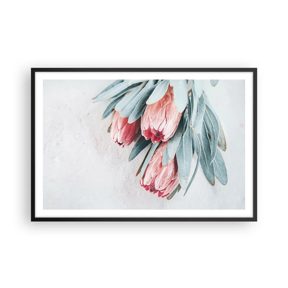 Pôster com moldura preta - Envergonhadas da sua própria beleza - 91x61 cm