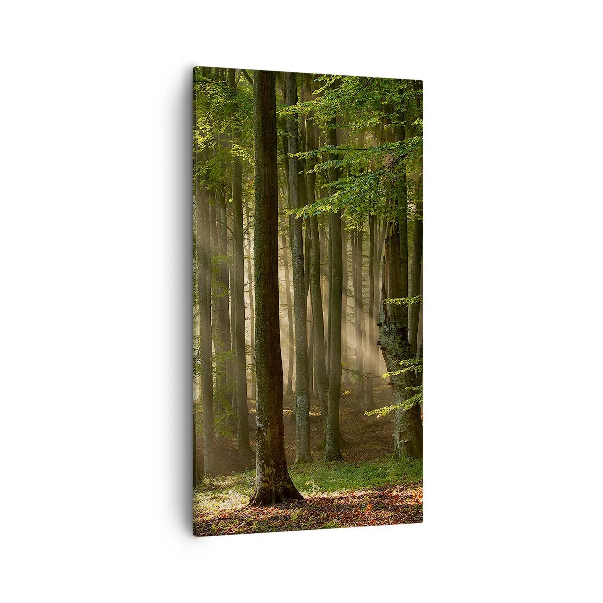 Quadro em tela - Radiante em uma manhã de primavera - 55x100 cm