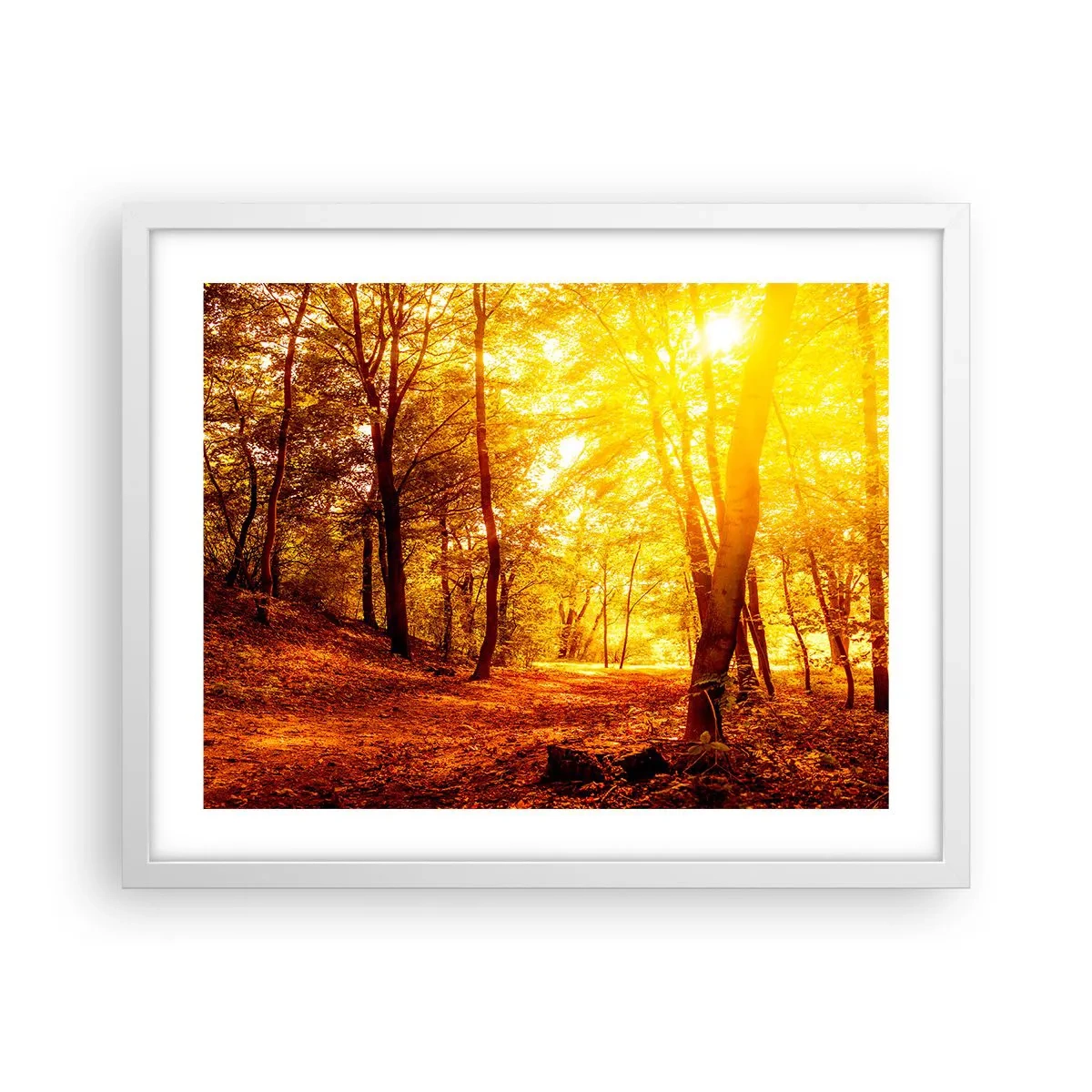 Pôster em moldura branca - Rumo à clareira dourada - 50x40 cm