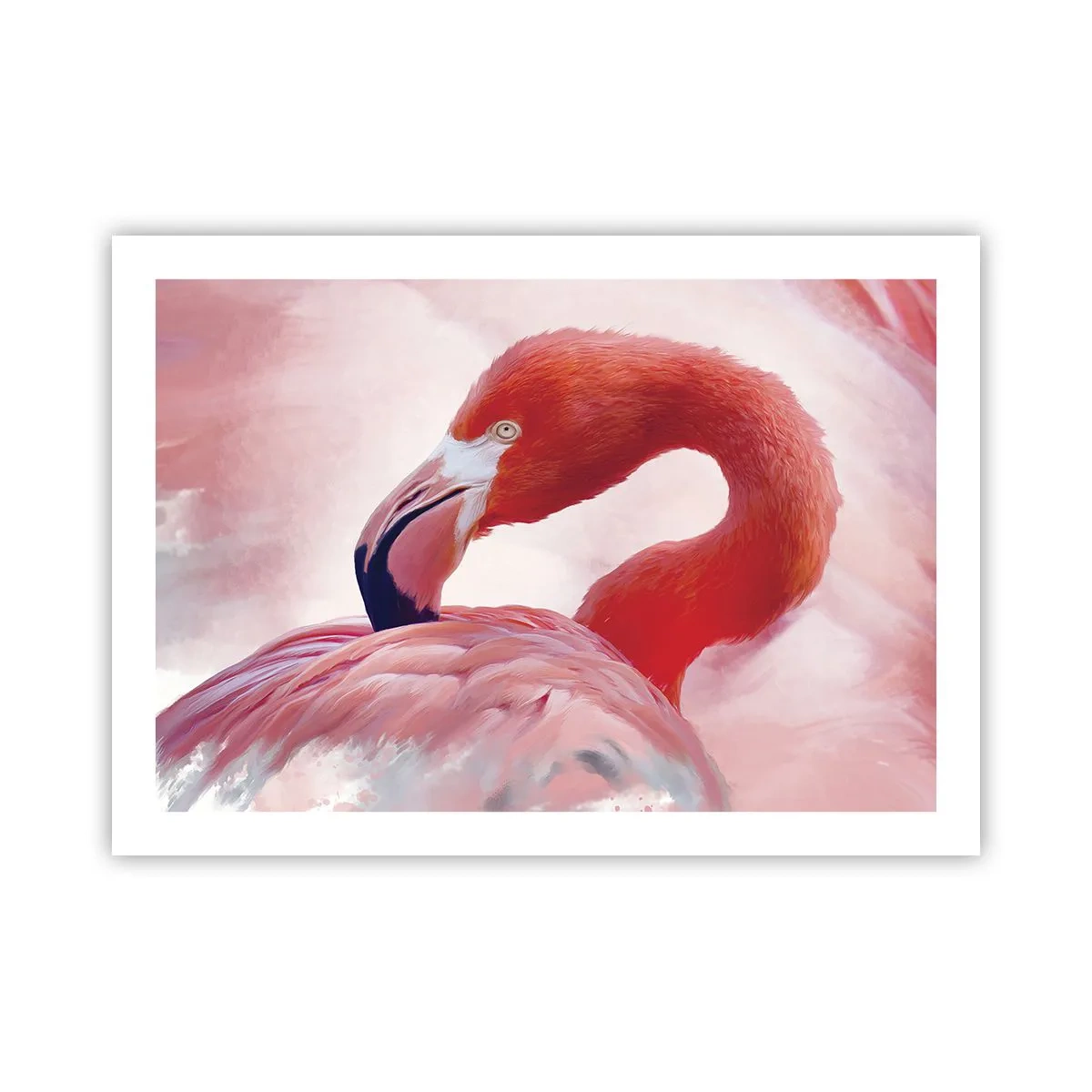 Pôster - Beleza das aves - 70x50 cm