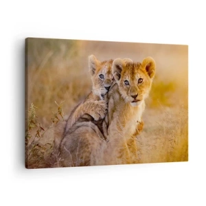 Quadro em tela - Adoráveis filhotes de leão em seu ambiente natural - 70x50cm - Não perturbe! Estamos a divertir-nos - Decoração de parede moderna para a sala de estar e quarto ARTTOR