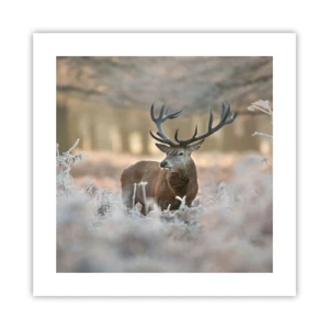 Pôster - Uma manhã fresca - 40x40 cm