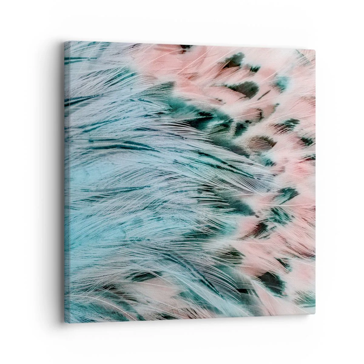 Quadro em tela - Penugem safira-rosa - 30x30 cm