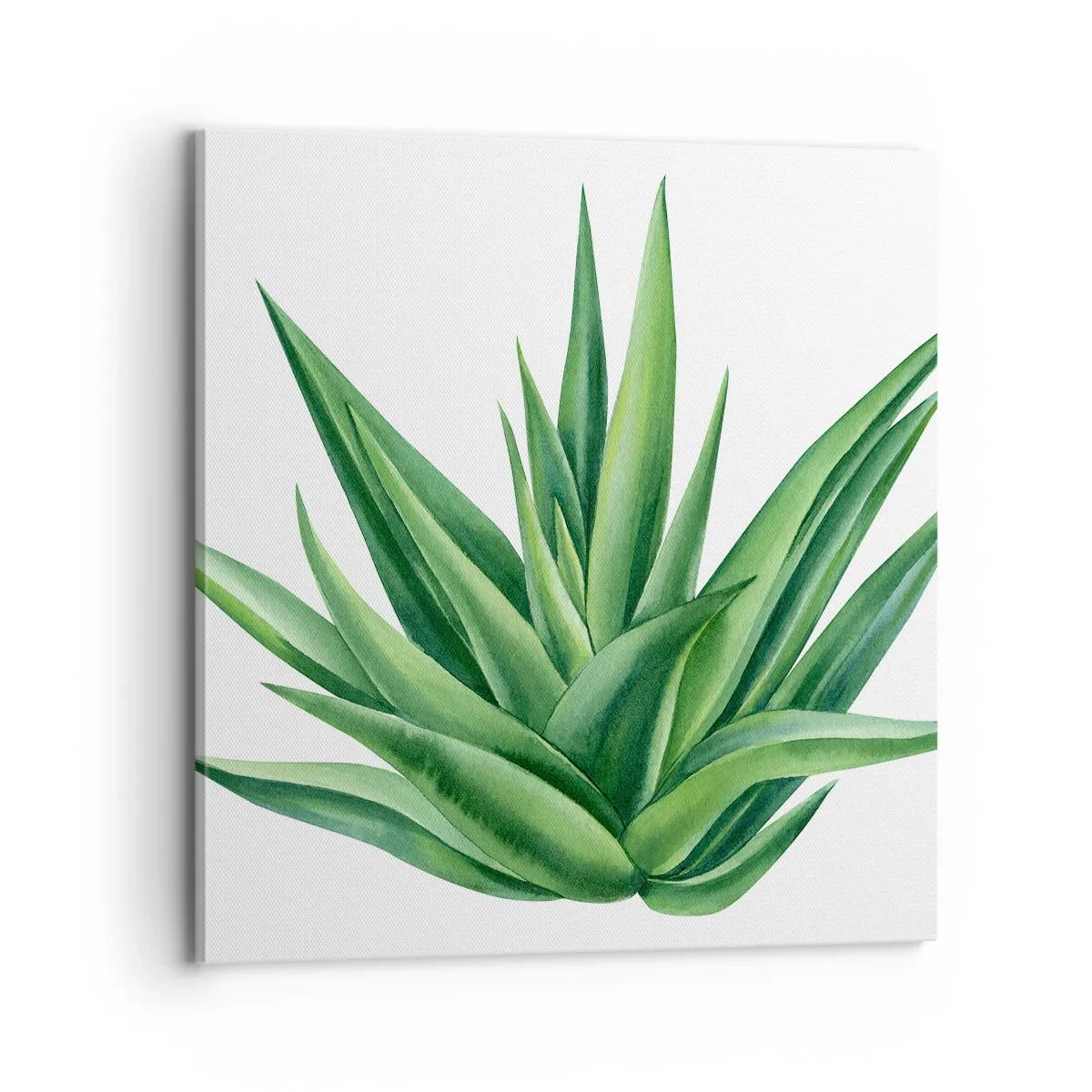 Quadro em tela - Verde – força – vida - 70x70 cm