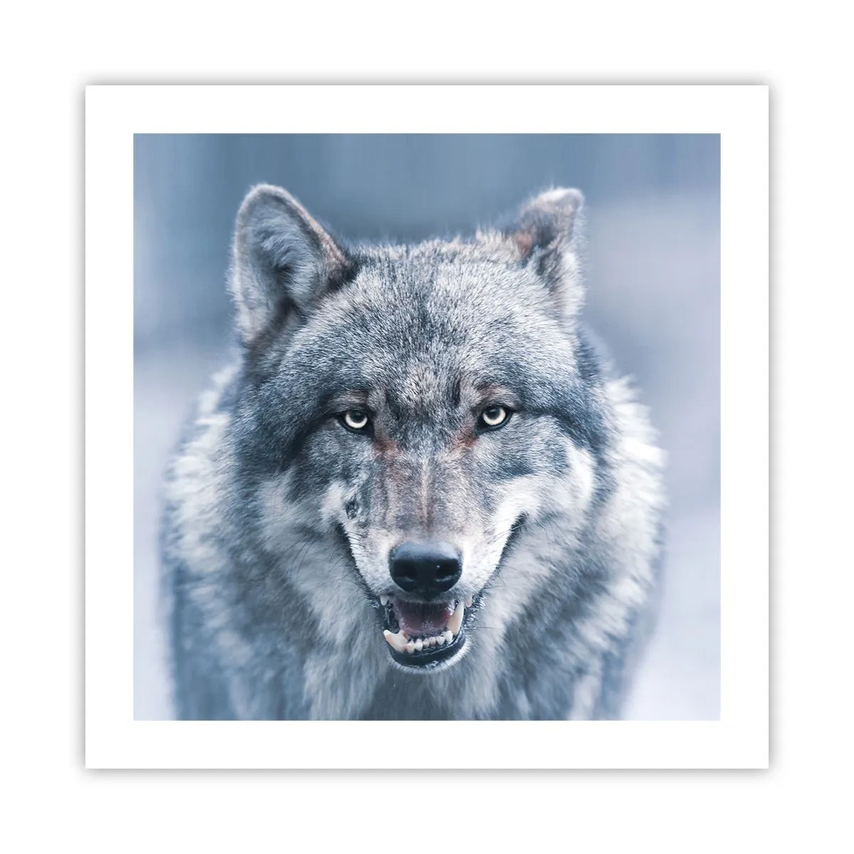 Pôster - Vai aceitar o desafio? - 50x50 cm