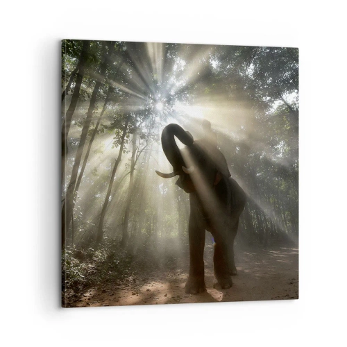 Quadro em tela - Sob a estrela da sorte - 60x60 cm