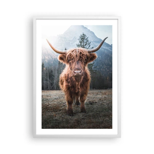 Pôster em moldura branca - Saudações do prado da montanha - 50x70 cm