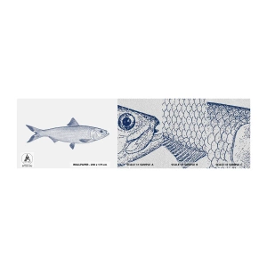 Amostra de papel de parede Premium Sand - Saudações dos mares do norte - Peixe, Animal marinho, Estilo à beira-mar - 100x30 cm