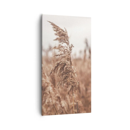 Quadro em tela - O outono já chegou ao campo - 55x100 cm