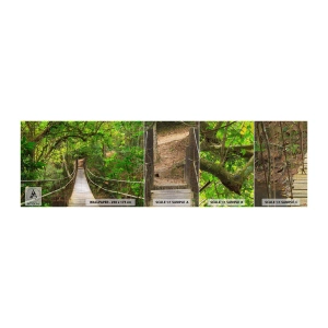 Amostra de papel de parede Premium Canvas - Porque há uma videira a crescer no jardim - Paisagem, Floresta, Natureza - 100x30 cm