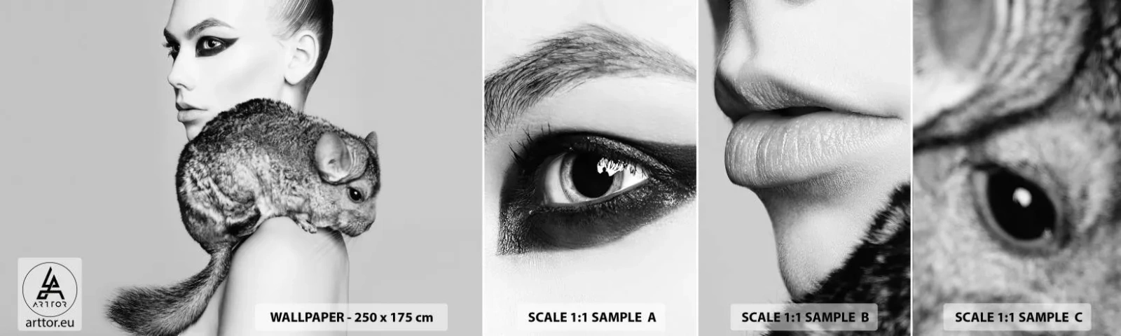 Amostra de Papel de Parede Standard Eco - A dama com a chinchila - Mulher, Mulher Com Chinchila, Modelo - 100x30 cm