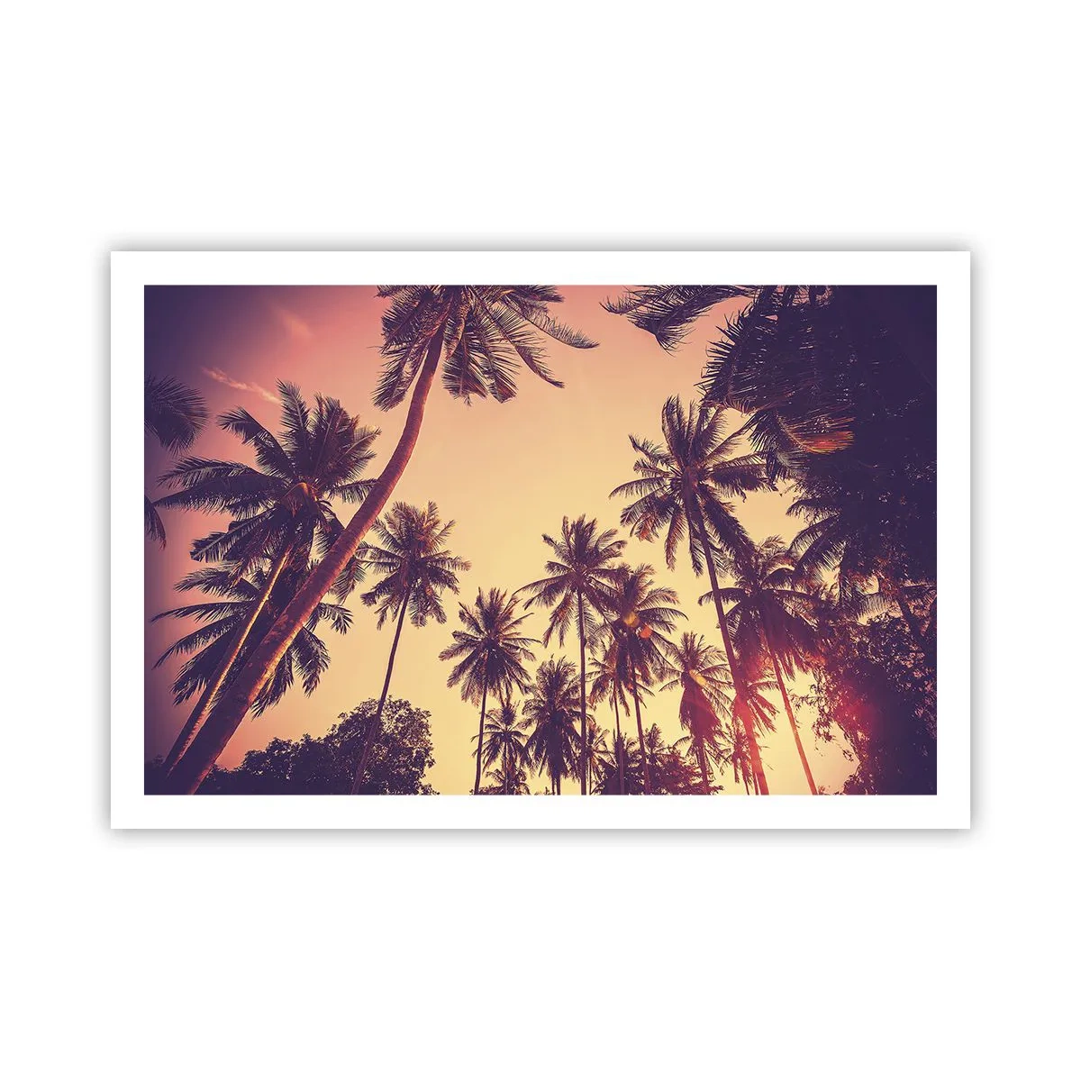 Pôster - Variação tropical - 91x61 cm