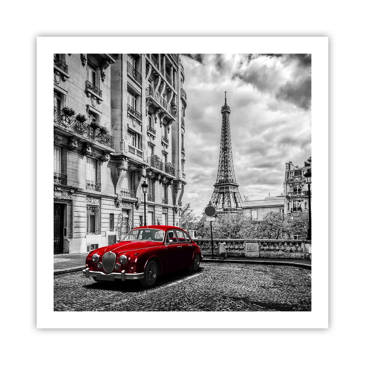 Pôster - Predador na cidade - 60x60 cm