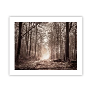 Pôster - Catedral na Floresta - 50x40 cm