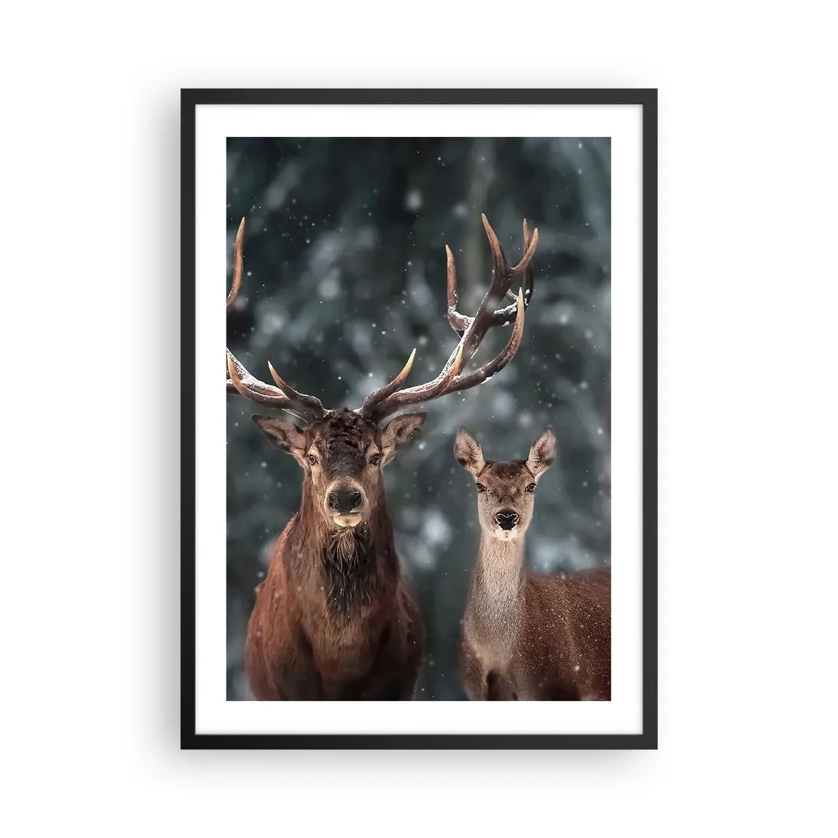 Pôster com moldura preta - Um par de veados tendo como pano de fundo uma floresta de inverno - 50x70cm - O senhor da floresta com sua esposa - Decoração de parede moderna para a sala de estar e quarto ARTTOR