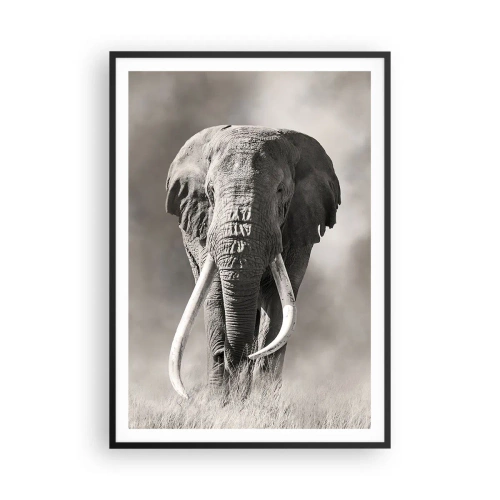 Pôster com moldura preta - Patriarca africano - 70x100 cm