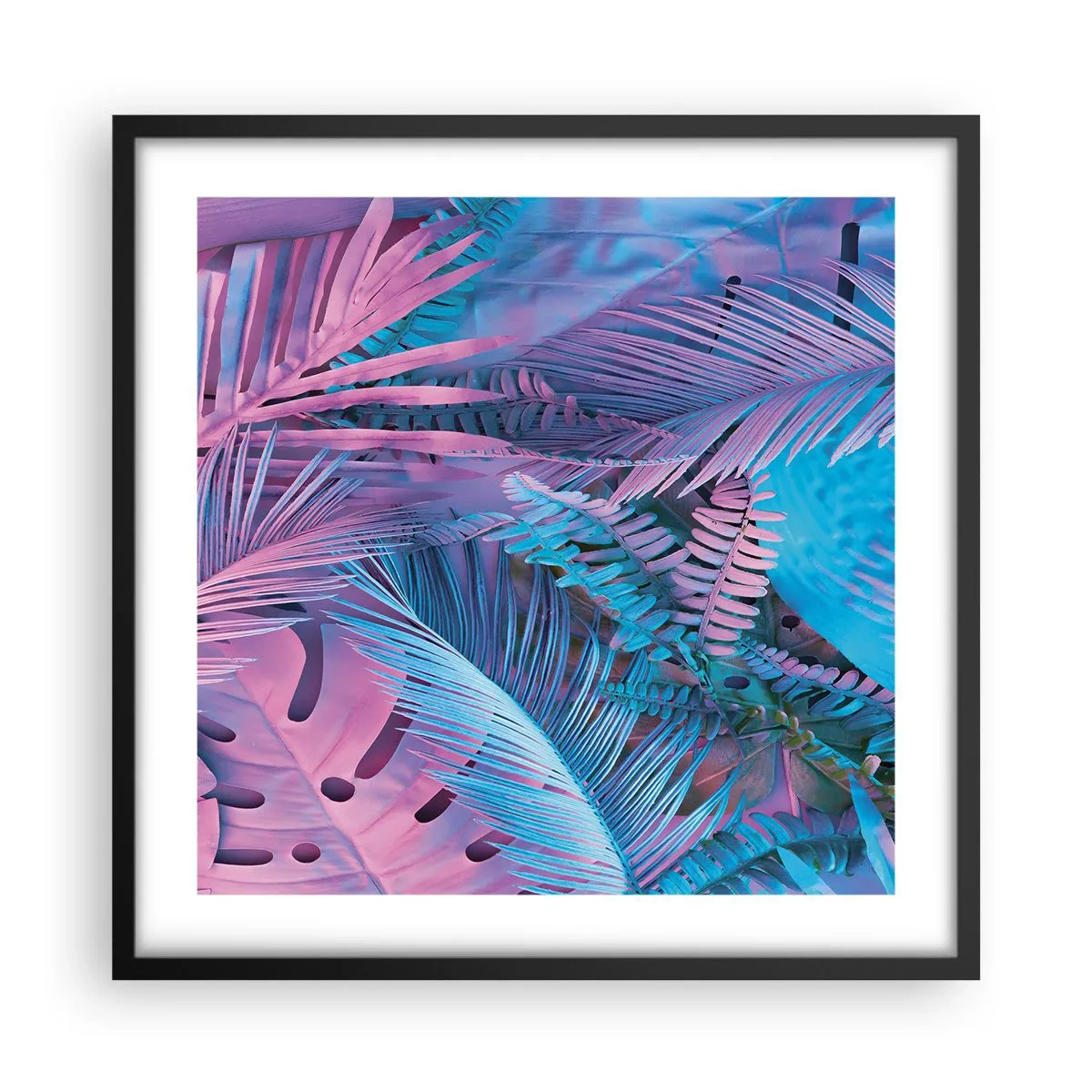 Pôster com moldura preta - Trópicos em rosa e azul - 50x50 cm