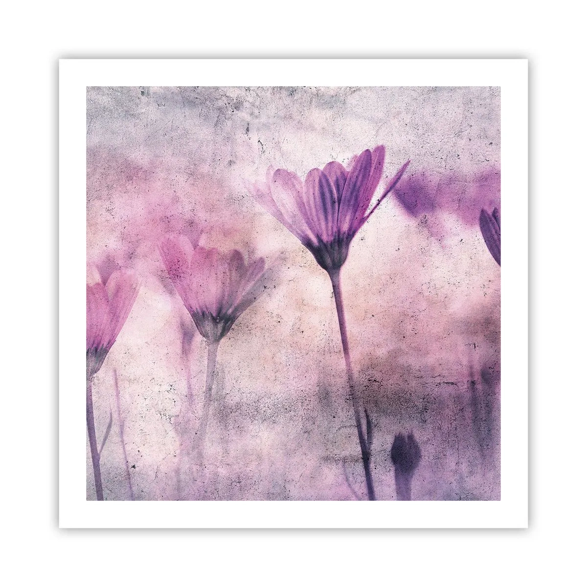 Pôster - Sonho de flores - 60x60 cm