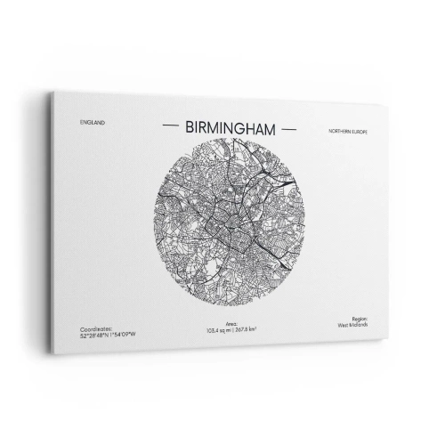 Quadro em tela - Anatomia de Birmingham - 120x80 cm