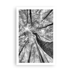 Pôster - Corrida até a luz - 61x91 cm