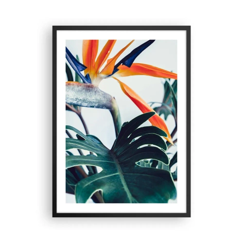 Pôster com moldura preta - Close-up de uma flor de strelitzia cercada por folhas verdes - 50x70cm - Arbusto de passarinho - Decoração de parede moderna para a sala de estar e quarto ARTTOR
