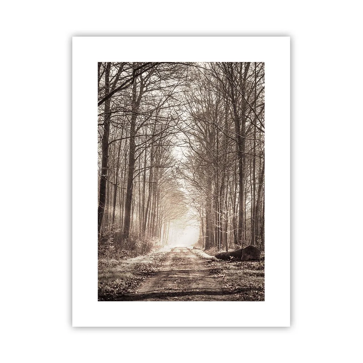 Pôster - Catedral na Floresta - 30x40 cm