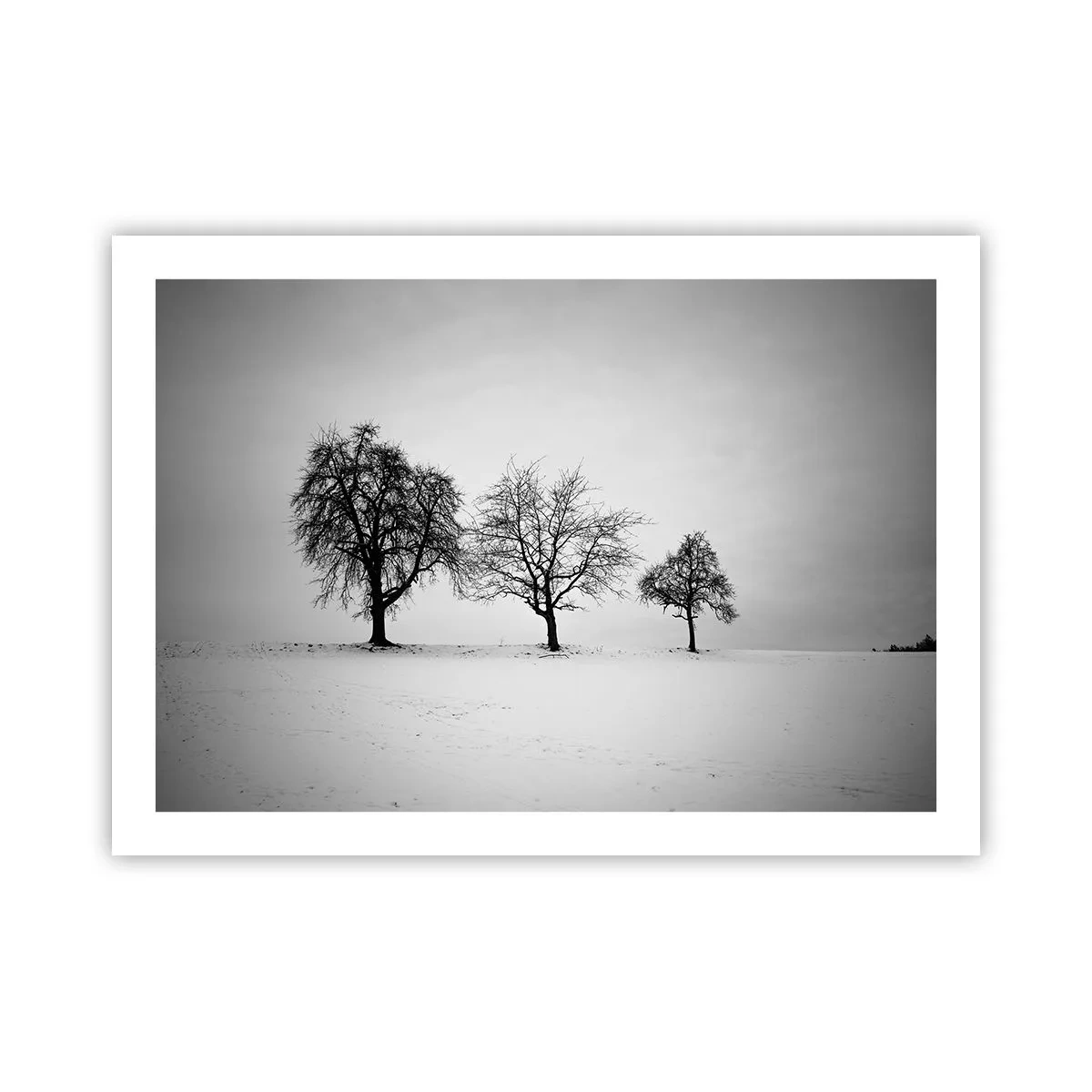 Pôster - Com que sonham elas? - 70x50 cm