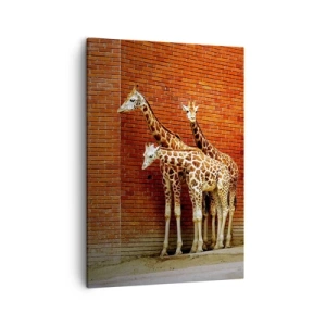 Quadro em tela - Vê alguma acácia? - 50x70 cm