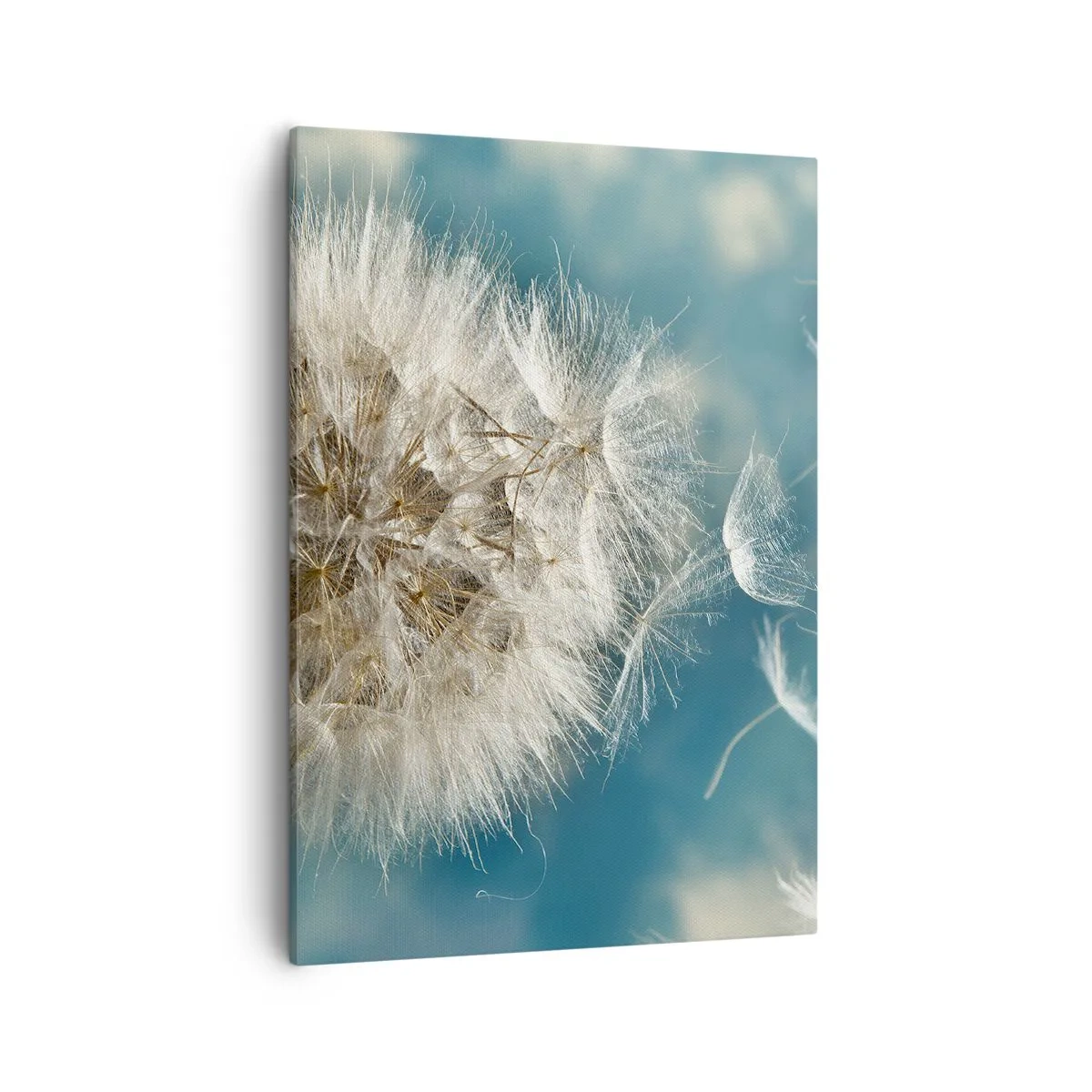 Quadro em tela - Respiração de um anjo - 50x70 cm
