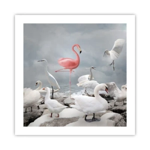 Pôster - Como vim parar aqui? - 50x50 cm