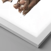 Branco