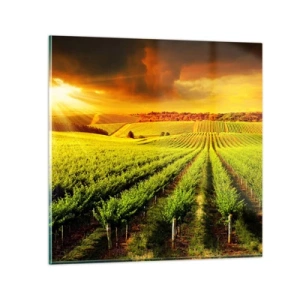 Quadro em vidro - Sob o sol australiano - 70x70 cm