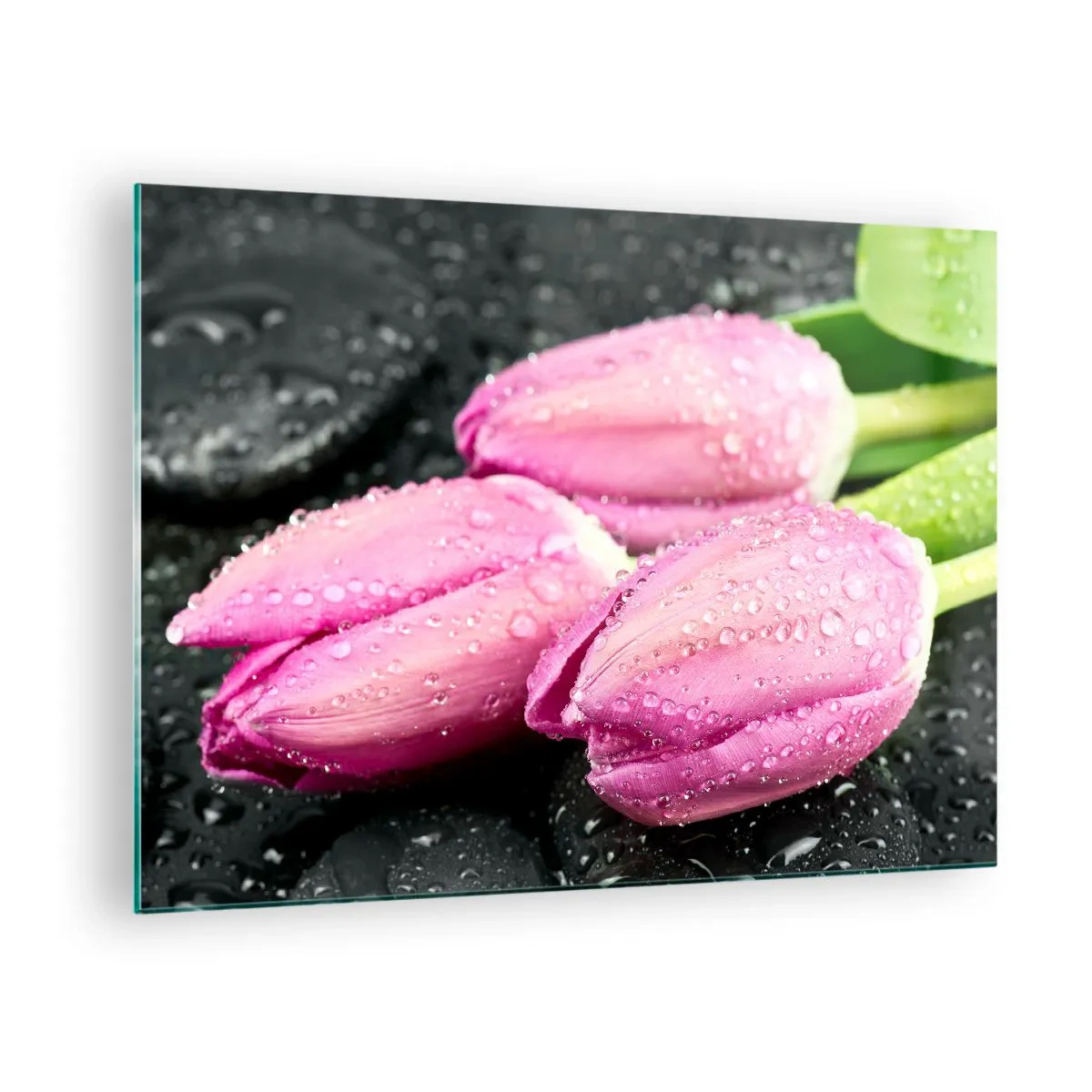 Quadro em vidro - Três tulipas rosas cobertas com gotas de água sobre um fundo preto. - 70x50cm - Trio lilás três em pedra - Decoração de parede moderna para a sala de estar e quarto ARTTOR