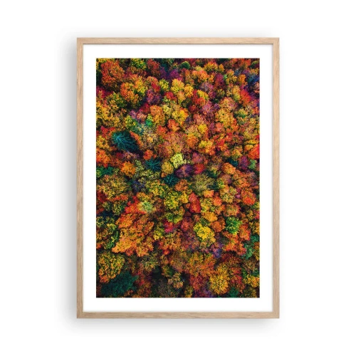 Pôster com moldura de carvalho claro - Bouquet de árvores de Outono - 50x70 cm