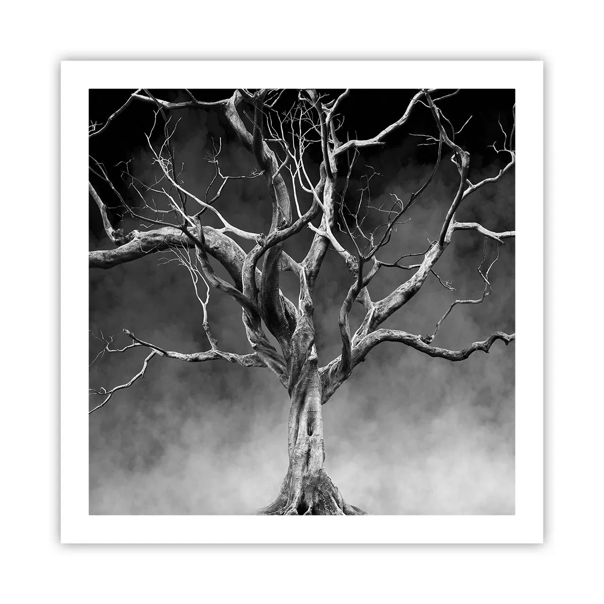 Pôster - Primitivo e sagrado - 60x60 cm
