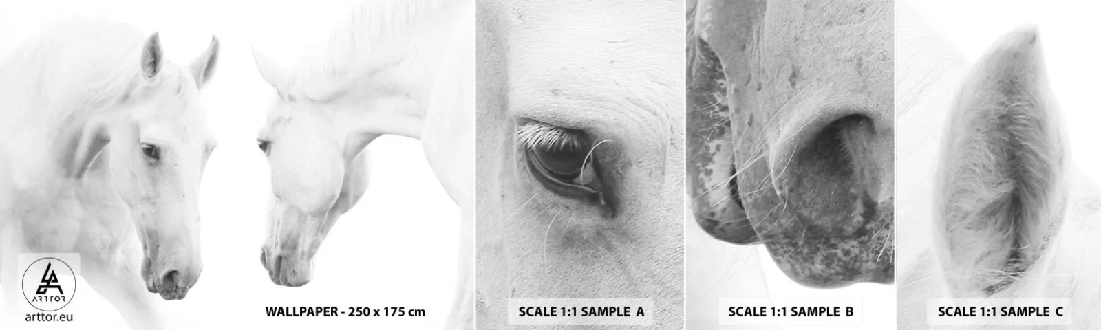 Amostra de Papel de Parede Standard Eco - Será amizade...? - Cavalos, Natureza, Animais - 100x30 cm