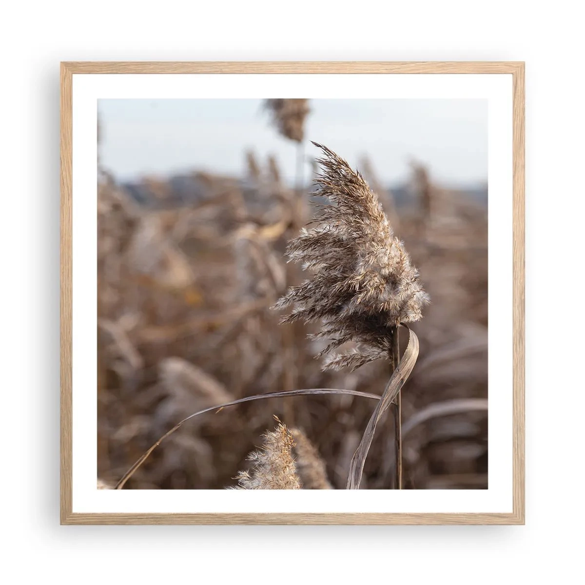 Pôster com moldura de carvalho claro - É hora de voar com o vento - 60x60 cm