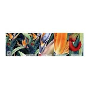 Amostra de Papel de Parede Standard Eco - Flores ardentes dos trópicos - Strelitzia real, Flor, África - 100x30 cm