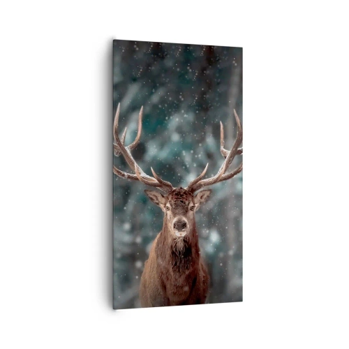 Quadro em tela - O rei coroado da floresta - 65x120 cm