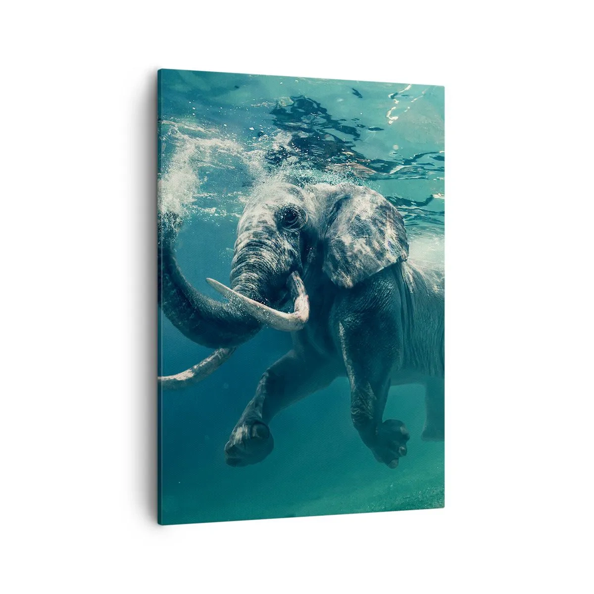 Quadro em tela - Todo mundo gosta de nadar - 50x70 cm