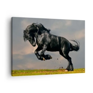 Quadro em tela - Um azarão em um salto dinâmico contra o céu - 70x50cm - Bonito e lento - Decoração de parede moderna para a sala de estar e quarto ARTTOR