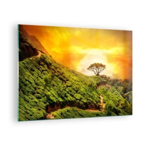 Quadro em vidro - Colinas verdes com uma árvore solitária ao pôr do sol - 70x50cm - Um caminho sinuoso, uma encosta verde - Decoração de parede moderna para a sala de estar e quarto ARTTOR