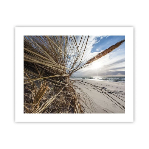 Pôster - Reunião dos rlementos da natureza - 50x40 cm