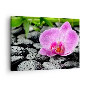 Quadro em tela - Orquídea rosa em pedras pretas molhadas com folhas verdes - 70x50cm - Como um coração aberto - Decoração de parede moderna para a sala de estar e quarto ARTTOR