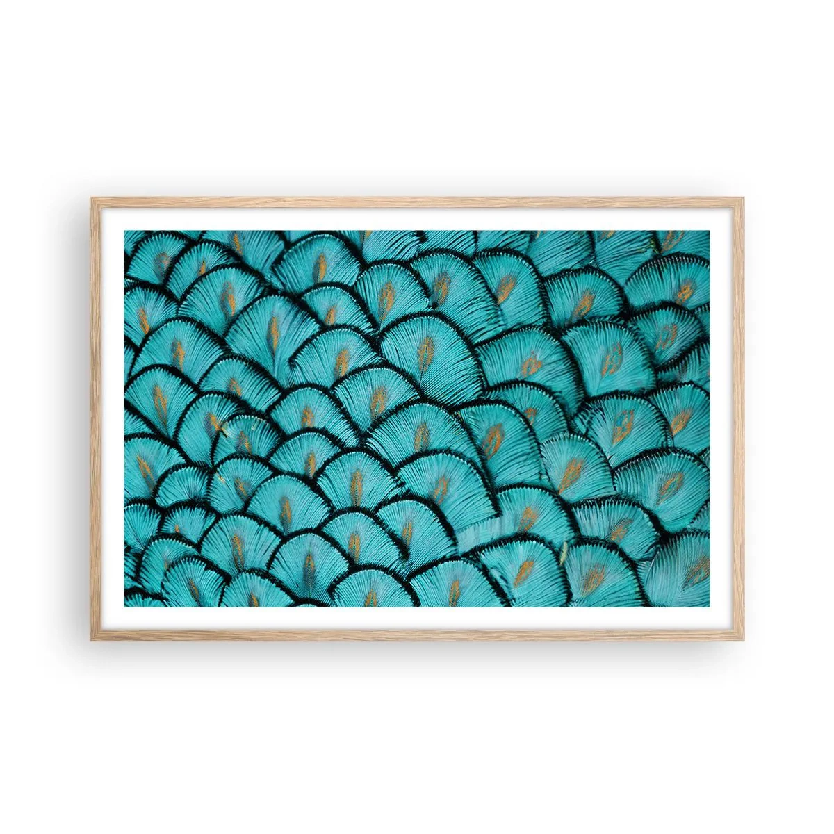 Pôster com moldura de carvalho claro - A grande gala de penas - 91x61 cm