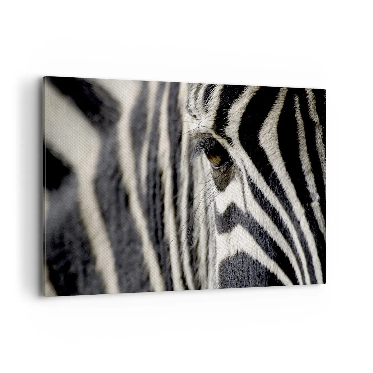 Quadro em tela - Retrato em listras - 120x80 cm