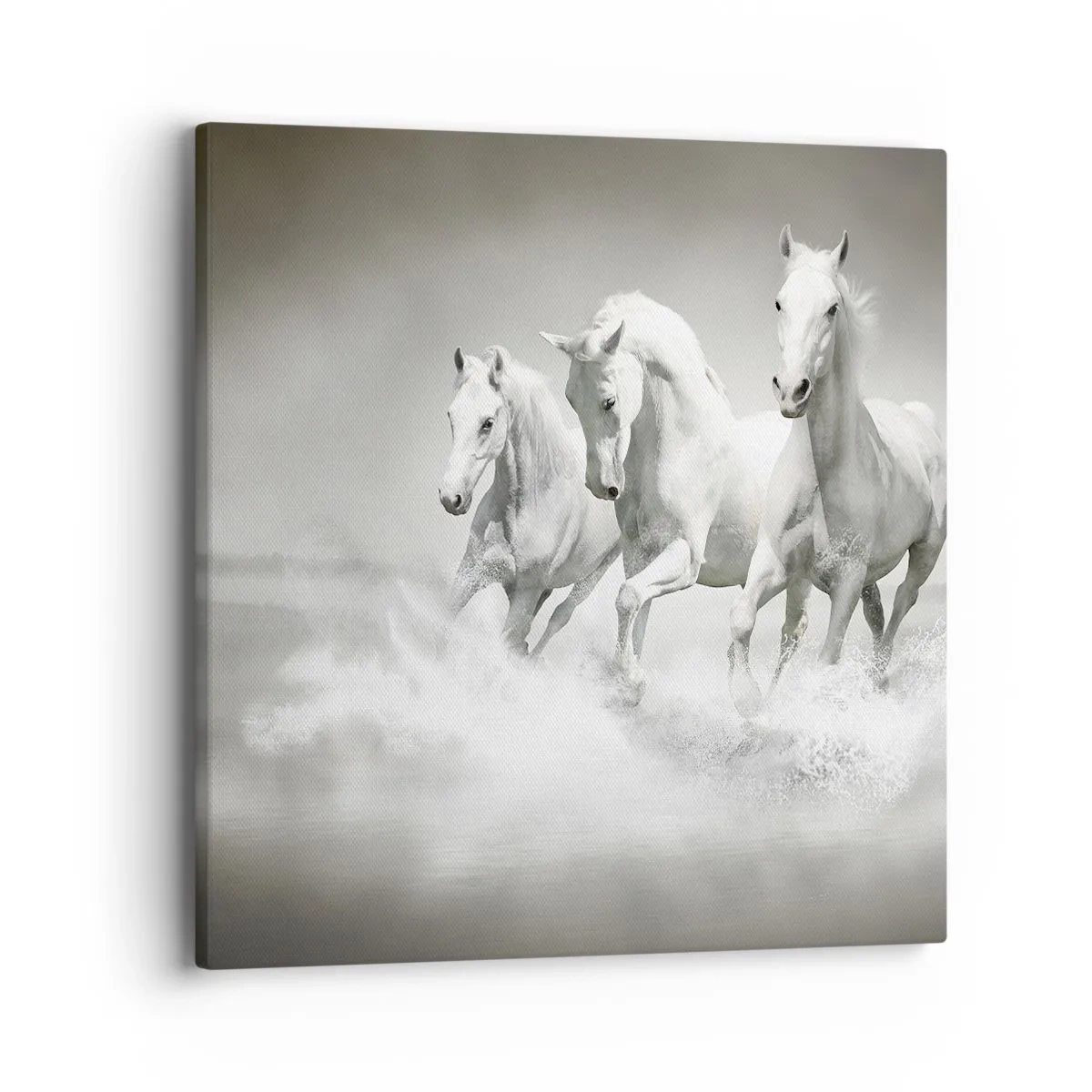 Quadro em tela - Loucura branca - 40x40 cm