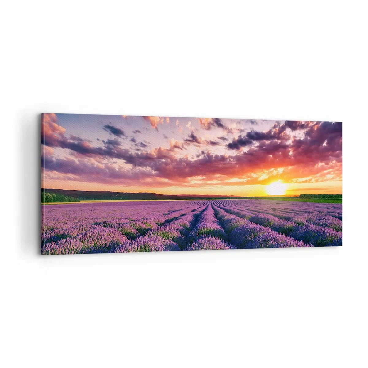 Quadro em tela - O mundo da lavanda - 100x40 cm