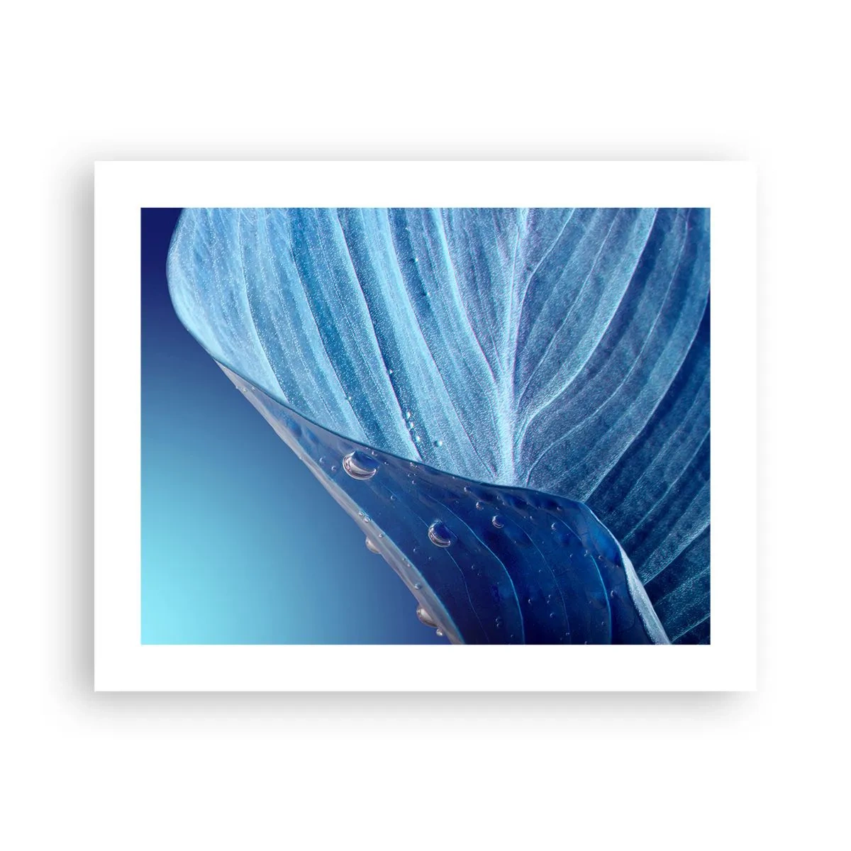 Pôster - Gotas escondidas no azul - 50x40 cm