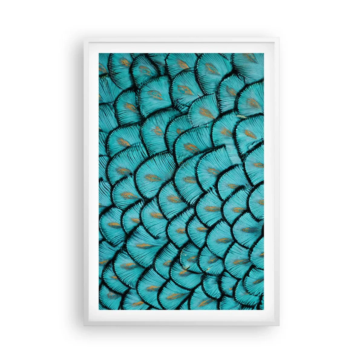 Pôster em moldura branca - A grande gala de penas - 61x91 cm